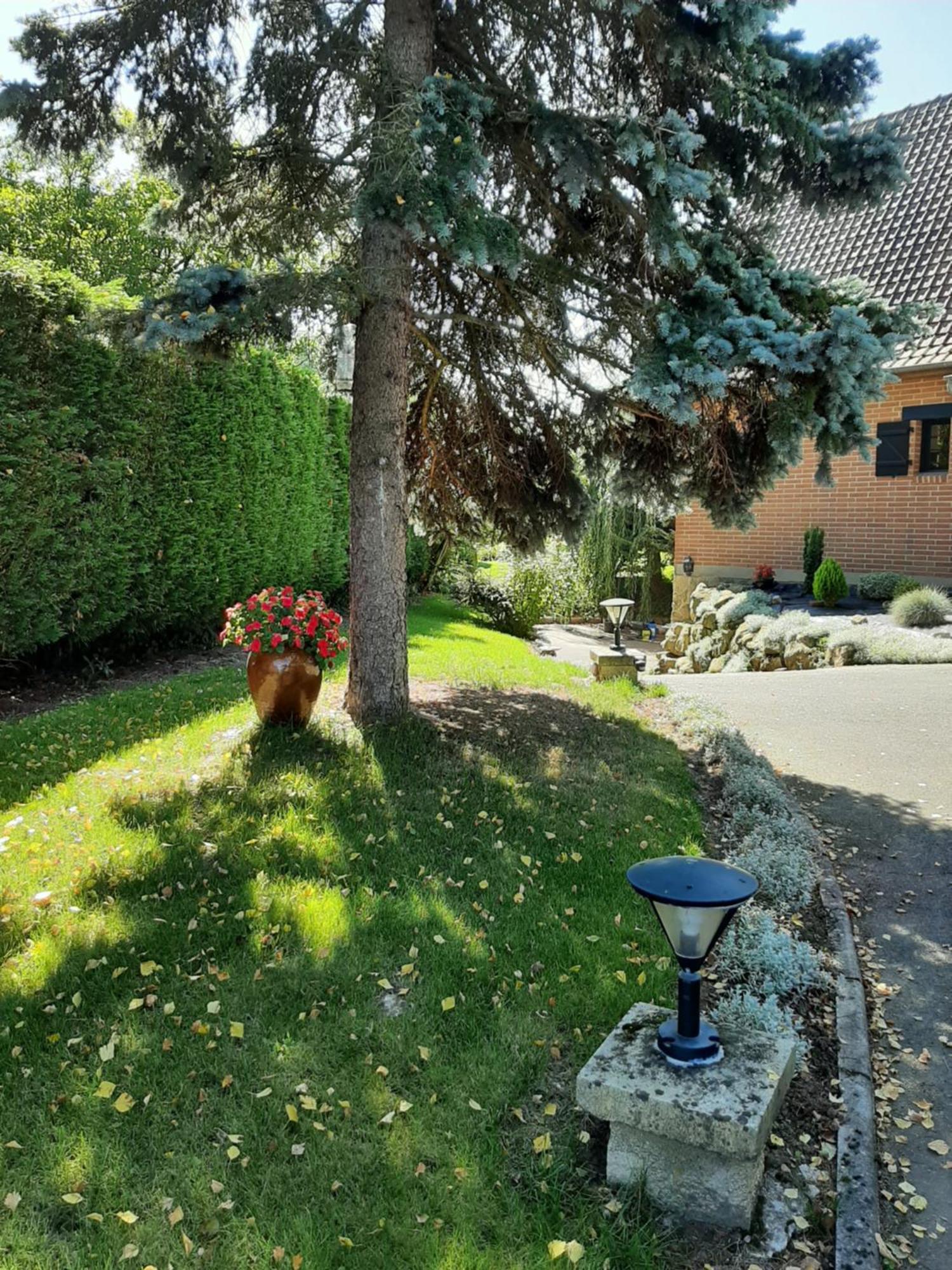 Le Refuge Du Hibou Bed and Breakfast Beaurains Εξωτερικό φωτογραφία